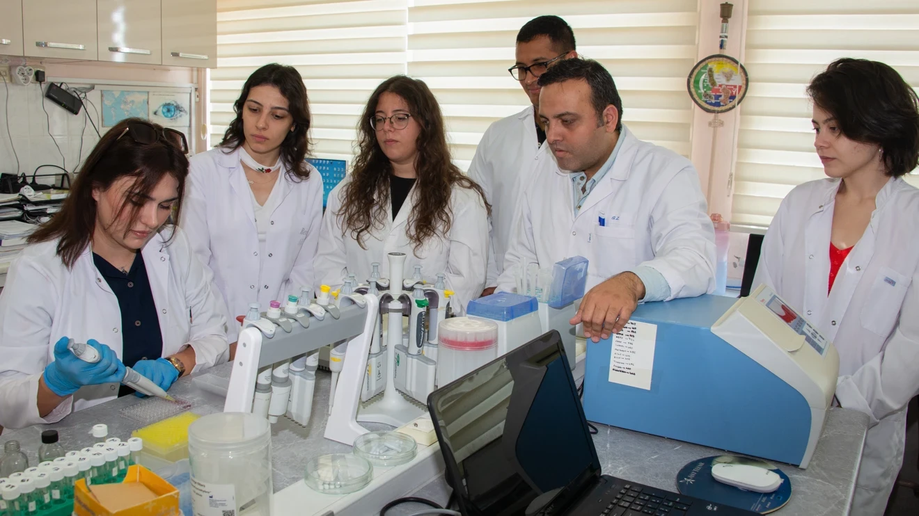 Alzheimer, obezite ve şeker hastalıklarının tedavisinde bitkisel ilaçlar araştırılıyor